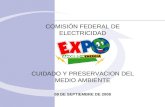 COMISIÓN FEDERAL DE ELECTRICIDAD CUIDADO Y PRESERVACION DEL MEDIO AMBIENTE 08 DE SEPTIEMBRE DE 2008.