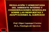 REGULACIÓN Y HOMEOSTASIA DEL AMBIENTE INTERNO Y CONSIDERACIONES GENERALES SOBRE LAS RESPUESTAS Y ADAPTACIONES AL EJERCICIO Prof. Edgar Lopategui Corsino.