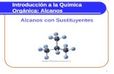 1 Introducción a la Quimica Orgánica: Alcanos Alcanos con Sustituyentes.