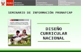 SEMINARIO DE INFORMACIÓN PRONAFCAP DISEÑO CURRICULAR NACIONAL.