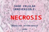 DAÑO CELULAR IRREVERSIBLE: NECROSIS MEDICINA VETERINARIA - 2004 -