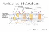 Membranas Biológicas Lic. Sburlati, Laura. Membranas Celulares Participan en el crecimiento, desarrollo y funcionamiento celular Cumplen una función estructural.
