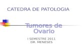 CATEDRA DE PATOLOGIA I SEMESTRE 2011 DR. MENESES.