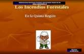 Los Incendios Forestales En la Quinta Región Publicaciones del Grupo Cristiano Universitario Razón de FE  Apuntes Académicos.