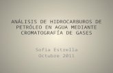 ANÁLISIS DE HIDROCARBUROS DE PETRÓLEO EN AGUA MEDIANTE CROMATOGRAFÍA DE GASES Sofía Estrella Octubre 2011.