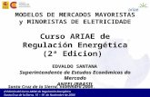II Edición del Curso ARIAE de Regulación Energética. Santa Cruz de la Sierra, 15 – 19 de Noviembre de 2004 MODELOS DE MERCADOS MAYORISTAS y MINORISTAS.