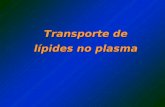 Transporte de lípides no plasma. Principais lípides : Ácidos graxos (AG) Triglicérides (TG) Fosfolípides (PL) Colesterol.