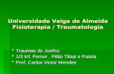 Universidade Veiga de Almeida Fisioterapia / Traumatologia Traumas do Joelho: Traumas do Joelho: 1/3 Inf. Femur, Pilão Tibial e Patela 1/3 Inf. Femur,