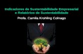 Indicadores de Sustentabilidade Empresarial e Relatórios de Sustentabilidade - Profa. Camila Krohling Colnago Indicadores de Sustentabilidade Empresarial.