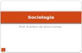 Prof. Everton da Silva Correa Sociologia 1. Curar e adestrar, vigiar e punir (parte I) https://www.facebook.com/Prof.EvertonCorrea 2.