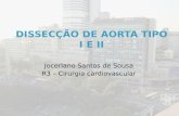 Jocerlano Santos de Sousa R3 – Cirurgia cardiovascular.