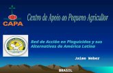 Jaime Weber BRASIL Red de Acción en Plaguicidas y sus Alternativas de América Latina.