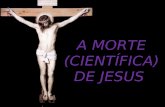 A MORTE (CIENTÍFICA) DE JESUS A MORTE (CIENTÍFICA) DE JESUS.
