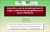 Mauro Zanus Jorge Tonietto Embrapa Uva e Vinho Primer Foro Subregional para la promoción del uso de la propiedad intelectual en las PYME agroalimentarias.