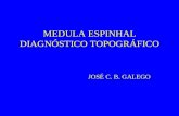 MEDULA ESPINHAL DIAGNÓSTICO TOPOGRÁFICO JOSÉ C. B. GALEGO.