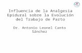 Influencia de la Analgesia Epidural sobre la Evolución del Trabajo de Parto Dr. Antonio Leonel Canto Sánchez.