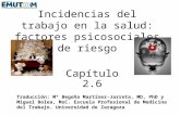 Incidencias del trabajo en la salud: factores psicosociales de riesgo Capítulo 2.6 Traducción: Mª Begoña Martínez-Jarreta, MD, PhD y Miguel Bolea, MsC.