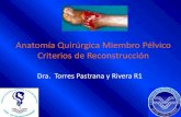 Anatomía Qx Miembro Pelvico y reconstruccion Stephania Torres Pastrana y R.pdf