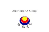 Zhi Neng Qi Gong. IDEOGRAMA ZHI NENG ZHI: inteligencia, sabiduría NENG: poder, capacidad.