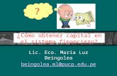 ¿ Cómo obtener capital en el sistema financiero? Lic. Eco. María Luz Beingolea beingolea.ml@pucp.edu.pe ?