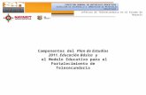Componentes del Plan de Estudios 2011. Educación Básica y el Modelo Educativo para el Fortalecimiento de Telesecundaria DIRECCIÓN GENERAL DE MATERIALES.