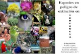 Especies en peligro de Extinción en Venezuela