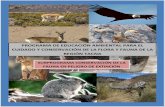 Taller de Educación Ambiental-Conservación de Rhea pennata