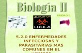 5.2.0 ENFERMEDADES INFECCIOSAS Y PARASITARIAS MAS COMUNES EN EL HOMBRE UNIDAD 5.