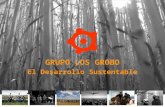 GRUPO LOS GROBO El Desarrollo Sustentable. El Grupo Los Grobo es una empresa que produce granos, los industrializa y provee servicios a los productores.