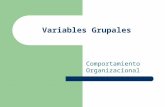 Variables Grupales Comportamiento Organizacional.