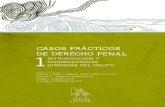 CASOS PRÁCTICOS DE DERECHO PENAL 1. INTRODUCCIÓN Y CONSECUENCIAS JURÍDICAS DEL DELITO