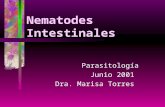 Nematodes Intestinales Parasitología Junio 2001 Dra. Marisa Torres.