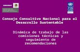 Consejo Consultivo Nacional para el Desarrollo Sustentable Dinámica de trabajo de las comisiones técnicas y seguimiento de recomendaciones.