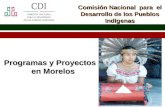Morelos 2013 Comisión Nacional para el Desarrollo de los Pueblos Indígenas Programas y Proyectos en Morelos.