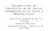 Perspectivas de Suministro en el Sector Energético en el Corto y Mediano Plazo Instituto Argentino de la Energía General Mosconi Alejandro Sruoga - Martes.