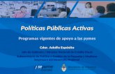 Políticas Públicas Activas Programas vigentes de apoyo a las pymes Cdor. Adolfo Espósito Jefe de Gabinete / Director Nacional de Crédito Fiscal Subsecretaría.