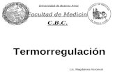 Termorregulación Universidad de Buenos Aires Facultad de Medicina C.B.C. Lic. Magdalena Veronesi.