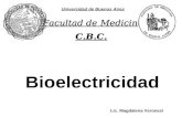 Bioelectricidad Universidad de Buenos Aires Facultad de Medicina C.B.C. Lic. Magdalena Veronesi.