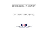 ESCLERODERMIA Y RIÑÓN DR. HERNÁN TRIMARCHI. LOS RASGOS HISTOPATOLÓGICOS DISTINTIVOS DE LA ESCLERODERMIA SON: EL ACÚMULO PROGRESIVO Y DESCONTROLADO DE.