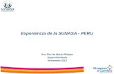 Experiencia de la SUNASA - PERU Dra. Flor de María Philipps Superintendenta Noviembre 2013.