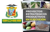 PROYECTOS ESTRATEGICOS PRODUCTIVOS EN EJECUCIÓN. OBJETIVO GENERAL Mejorar la producción alpaquera en los Distritos seleccionados de la Provincia Mariscal.