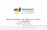 Oportunidades de Negocios Chile y Colombia Jorge Hernán Gutiérrez R. Bogotá, junio de 2012.