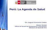 Eco. Augusto Portocarrero Grados Director General Oficina de General de Planeamiento y Presupuesto Ministerio de Salud del Perú Perú: La Agenda de Salud.