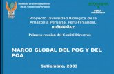 Instituto de Investigaciones de la Amazonía Peruana BIODAMAZ PERU - FINLANDIA BIODAMAZ Setiembre, 2003 Proyecto Diversidad Biológica de la Amazonía Peruana,