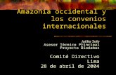 Amazonía occidental y los convenios internacionales Jukka Salo Asesor Técnico Principal Proyecto Biodamaz Comité Directivo Lima 28 de abril de 2004.