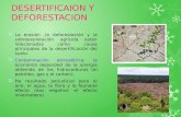 DESERTIFICAION Y DEFORESTACION La erosión,la deforestación y la sobreexplotación agrícola están relacionadas como causa principales de la desertificación.