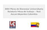 XXIV Pleno de Bienestar Universitario Relatoría Mesa de trabajo – Red Ascun/deportes Colombia.