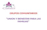 GRUPOS COMUNITARIOS UNION Y BIENESTAR PARA LAS FAMILIAS.