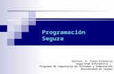 Programación Segura Gustavo A. Isaza Echeverry Seguridad Informática – Programa de Ingeniería de Sistemas y Computación Universidad de Caldas.