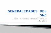 Dra. Gabriela Morales Scholz ME-2012. Peso cerebral Pérdida de la consciencia Características metabólicas Daño irreversible.